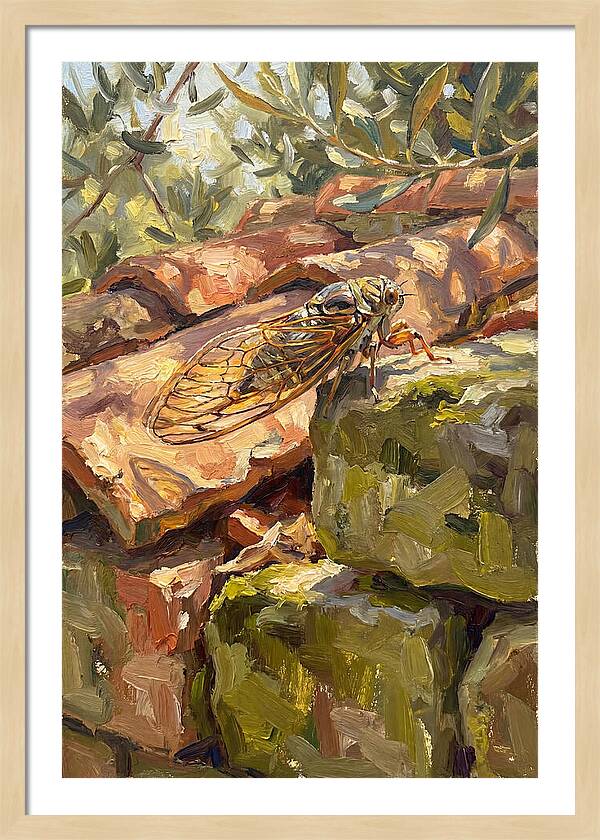 Cicada Among Mediterranean Stones