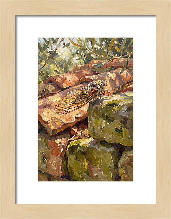 Cicada Among Mediterranean Stones