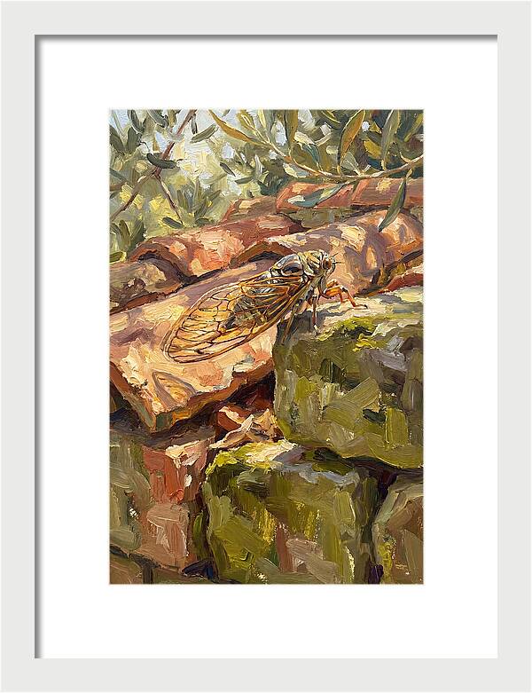 Cicada Among Mediterranean Stones