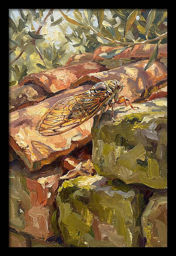 Cicada Among Mediterranean Stones