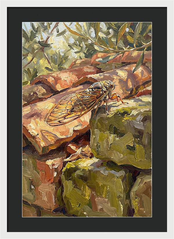 Cicada Among Mediterranean Stones