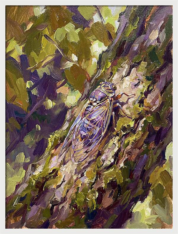 Cicada Among The Leaves