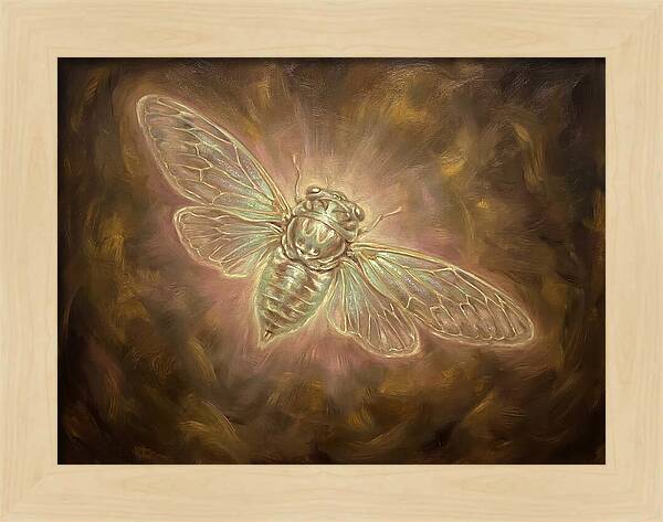 Cicada Emergence