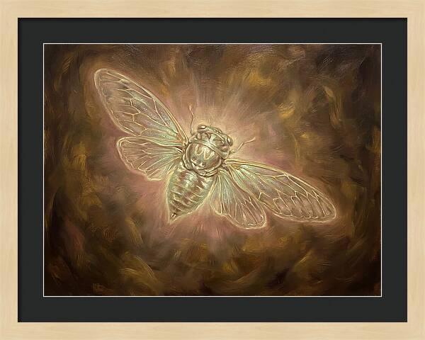 Cicada Emergence