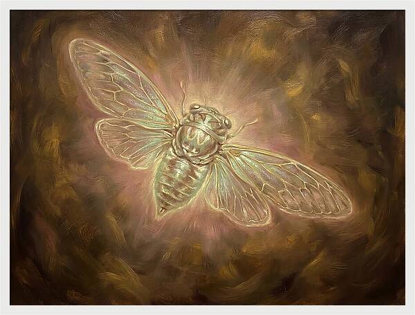 Cicada Emergence