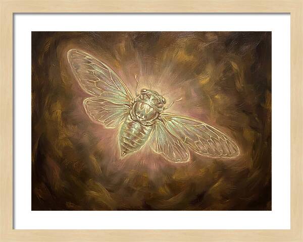Cicada Emergence