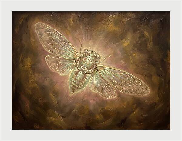 Cicada Emergence