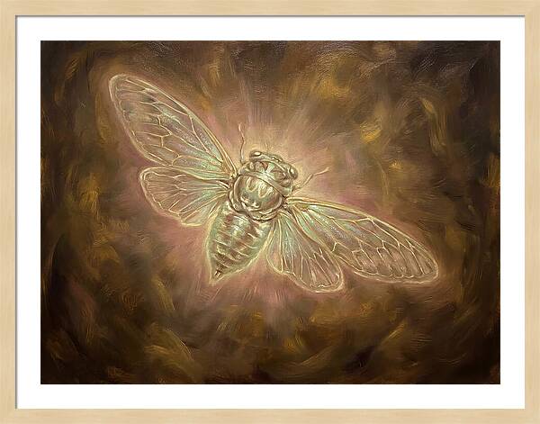 Cicada Emergence