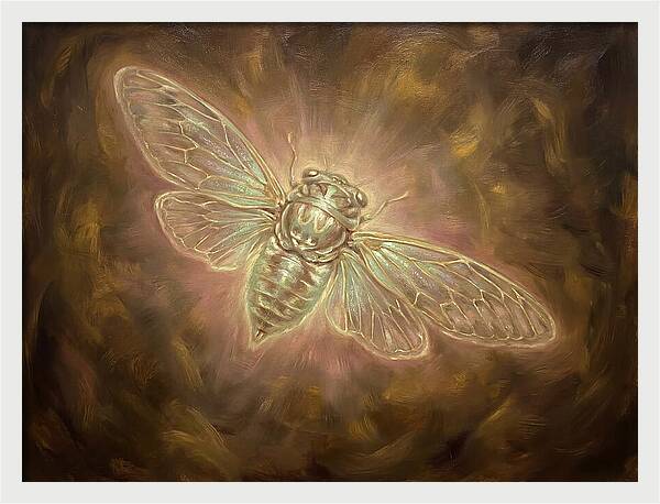 Cicada Emergence