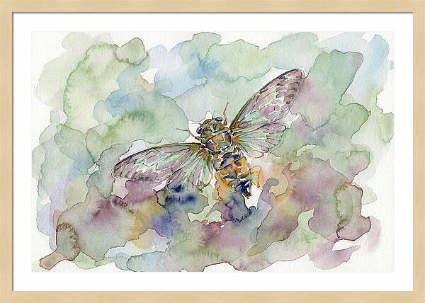 Cicada In Watercolor Dreamscape