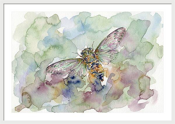 Cicada In Watercolor Dreamscape