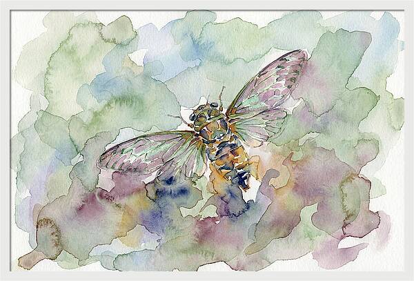 Cicada In Watercolor Dreamscape