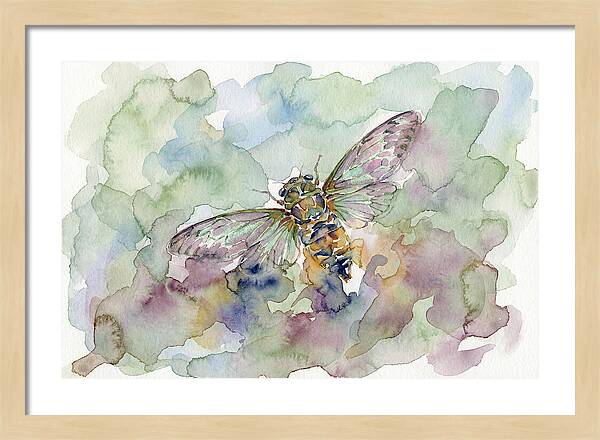 Cicada In Watercolor Dreamscape