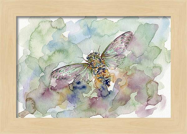 Cicada In Watercolor Dreamscape