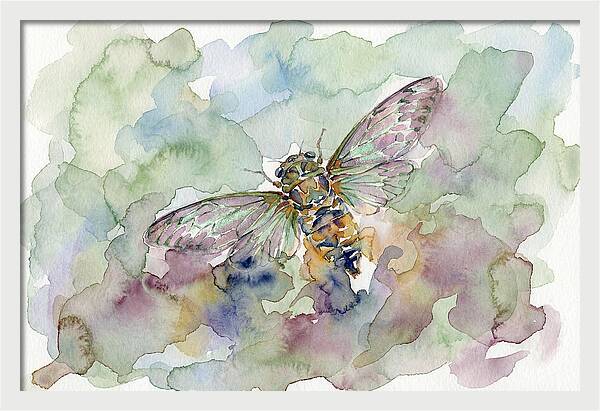 Cicada In Watercolor Dreamscape