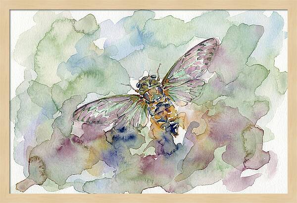 Cicada In Watercolor Dreamscape