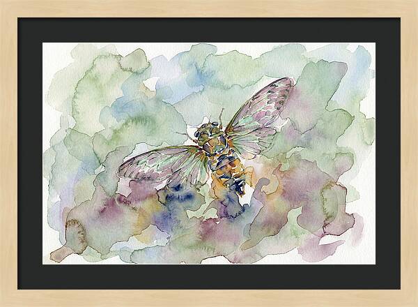 Cicada In Watercolor Dreamscape