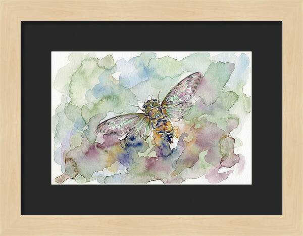 Cicada In Watercolor Dreamscape