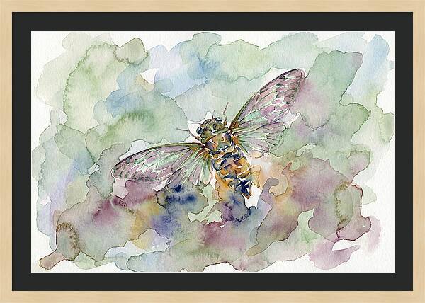 Cicada In Watercolor Dreamscape