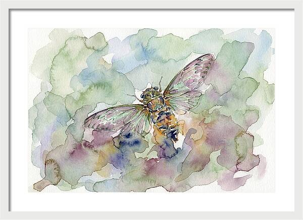 Cicada In Watercolor Dreamscape