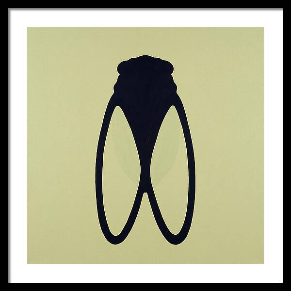 Cicada Minimalism