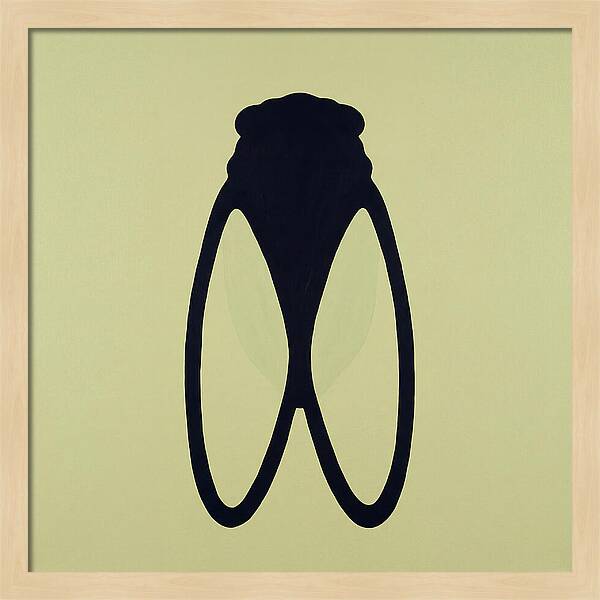 Cicada Minimalism