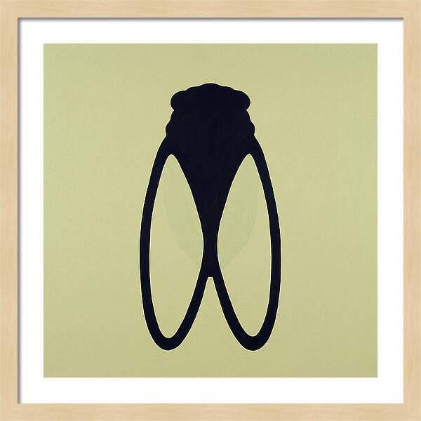 Cicada Minimalism
