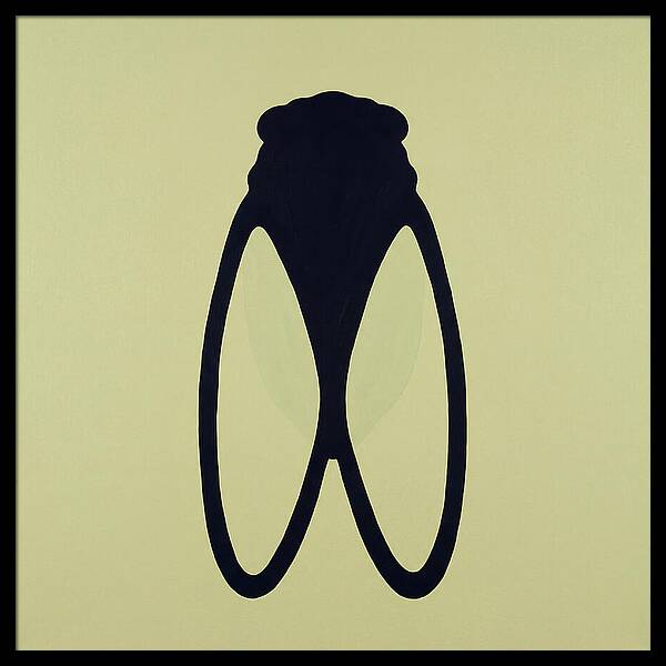 Cicada Minimalism