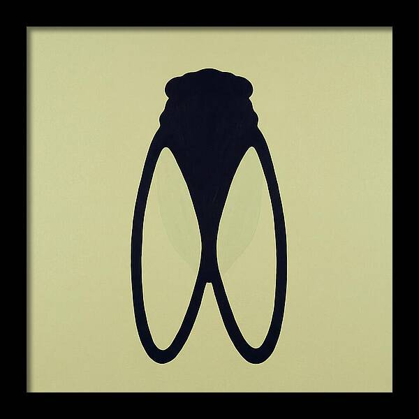 Cicada Minimalism