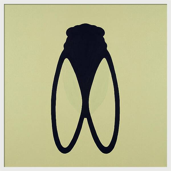Cicada Minimalism