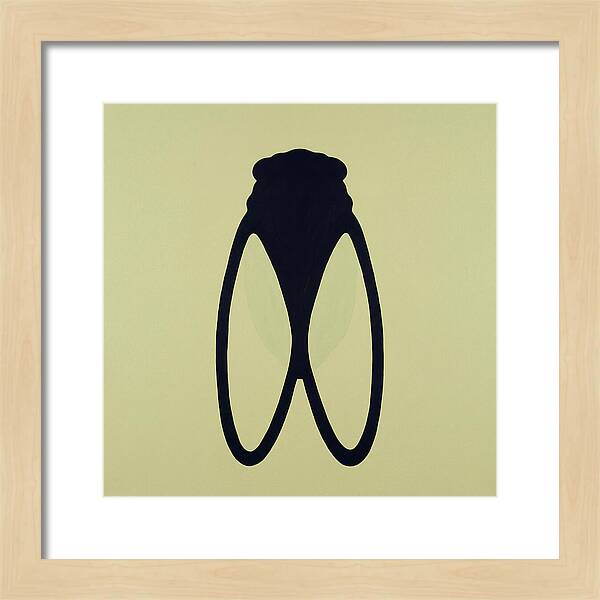 Cicada Minimalism
