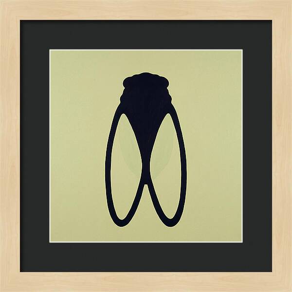 Cicada Minimalism