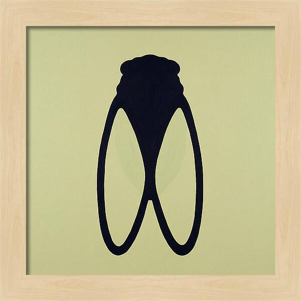 Cicada Minimalism