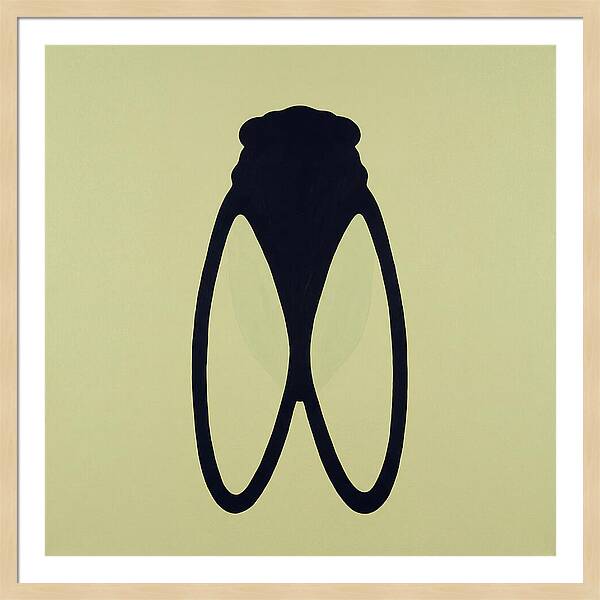 Cicada Minimalism