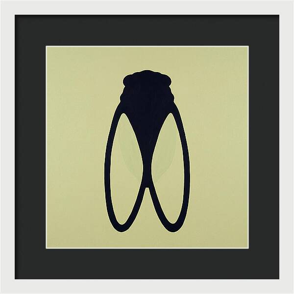 Cicada Minimalism