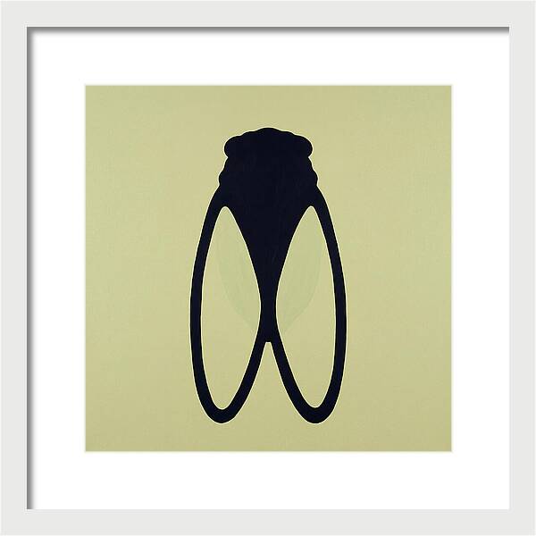 Cicada Minimalism
