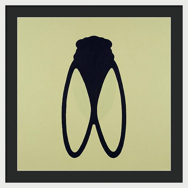 Cicada Minimalism