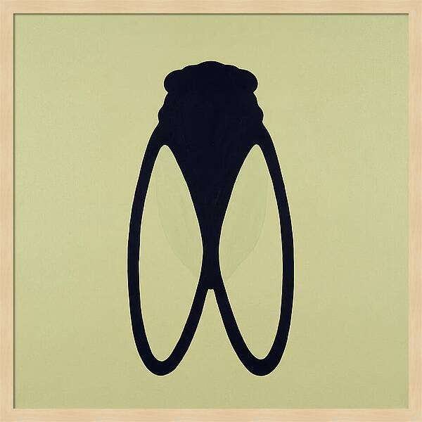 Cicada Minimalism