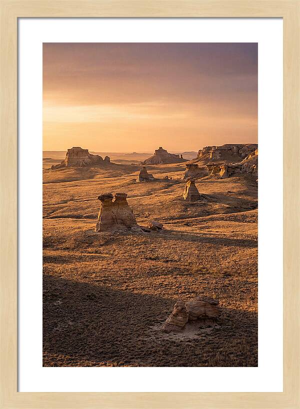 Cimarron Grasslands Serenity