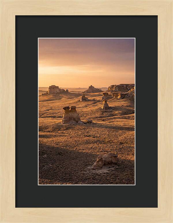 Cimarron Grasslands Serenity
