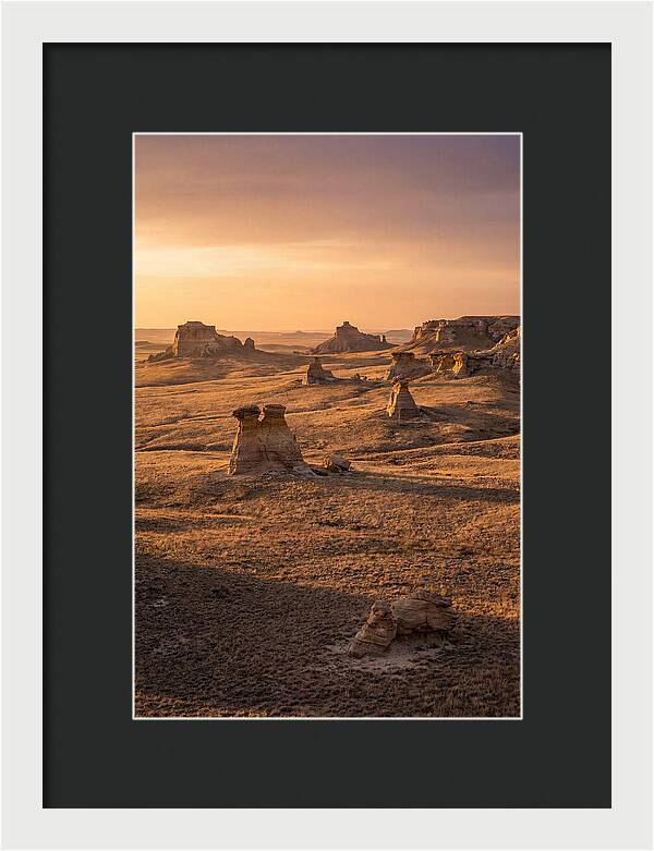 Cimarron Grasslands Serenity