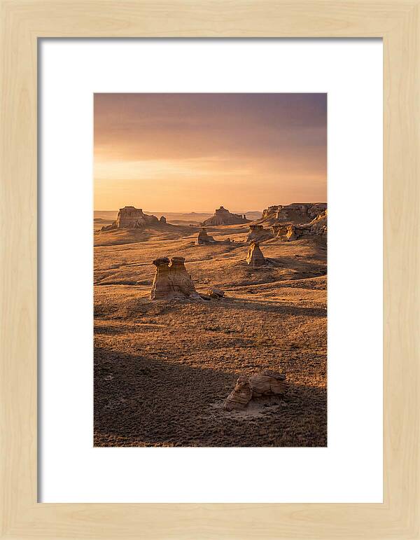 Cimarron Grasslands Serenity