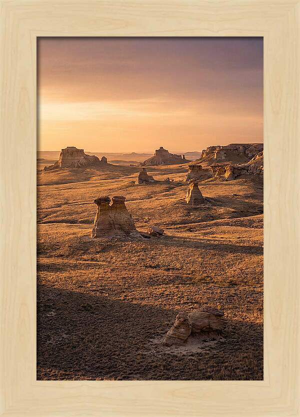 Cimarron Grasslands Serenity