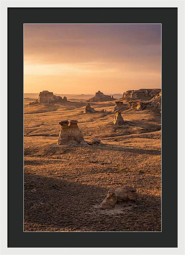 Cimarron Grasslands Serenity