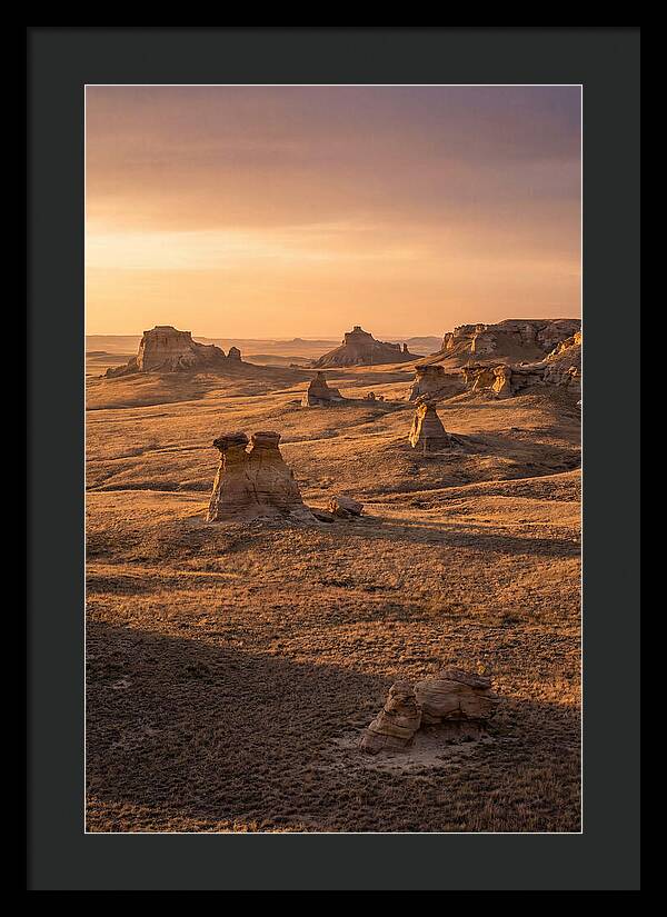 Cimarron Grasslands Serenity