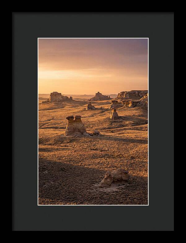 Cimarron Grasslands Serenity
