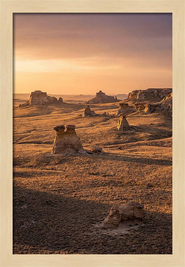 Cimarron Grasslands Serenity