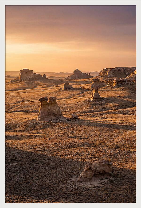 Cimarron Grasslands Serenity