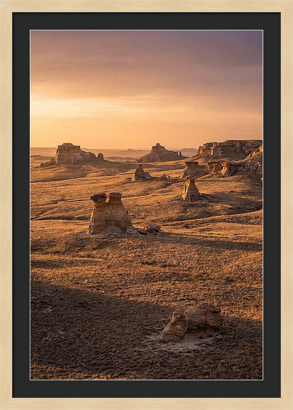 Cimarron Grasslands Serenity