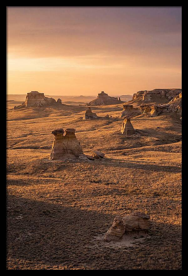 Cimarron Grasslands Serenity